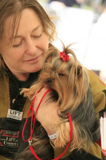 Aiyana en expo (CACIB Ajaccio)