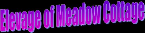 Logo \